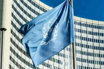 ООН рекомендовала проводить переписи населения дистанционно - pnp.ru - Президент