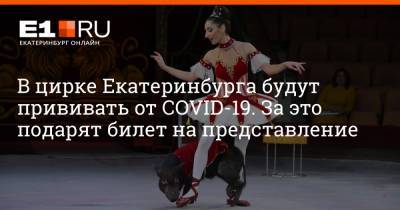 Артем Устюжанин - В цирке Екатеринбурга будут прививать от COVID-19. За это подарят билет на представление - e1.ru - Екатеринбург