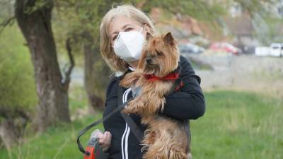 Собачий коронавирус впервые обнаружен у пациентов с пневмонией - vesti.ru