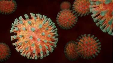 Ученые нашли ранее неизвестный коронавирус - piter.tv - Малайзия