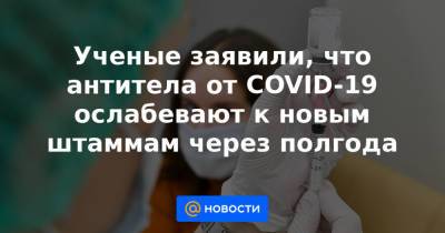 Ученые заявили, что антитела от COVID-19 ослабевают к новым штаммам через полгода - news.mail.ru