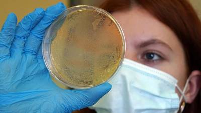 Ученые узнали сроки ослабевания антител к новым штаммам коронавируса - iz.ru - Израиль