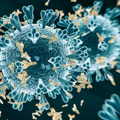 За последние сутки в России выявили 8709 новых случаев коронавируса в 85 регионах - radiomayak.ru - Россия