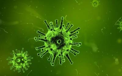 Ученые предупреждают об опасности высокопатогенного вируса птичьего гриппа и мира - cursorinfo.co.il