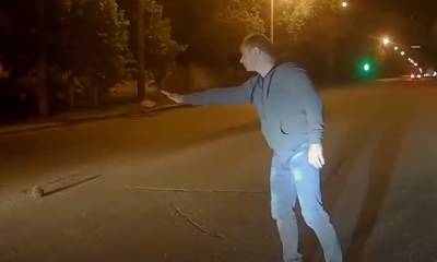 В Харькове мужчина рискнул жизнью из-за "колючего малыша", видео: не смог проехать мимо - politeka.net - Харьков