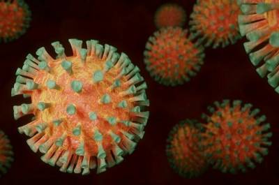 Владимир Гущин - Эксперт заявил, что новые штаммы коронавируса более смертельны - pnp.ru - Россия