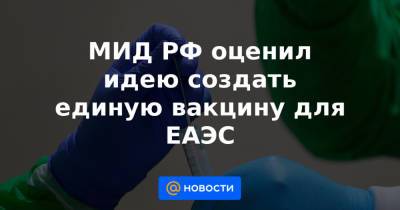 МИД РФ оценил идею создать единую вакцину для ЕАЭС - news.mail.ru - Россия