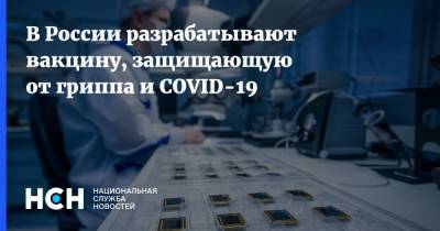 В России разрабатывают вакцину, защищающую от гриппа и COVID-19 - nsn.fm - Россия