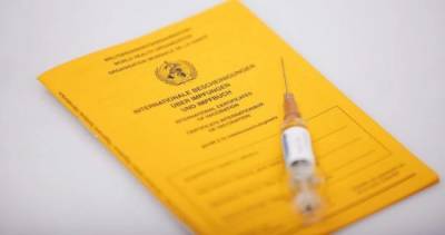 Ярослав Кучер - Украина договорилась с ЕС о взаимном признании паспортов вакцинации - eadaily.com