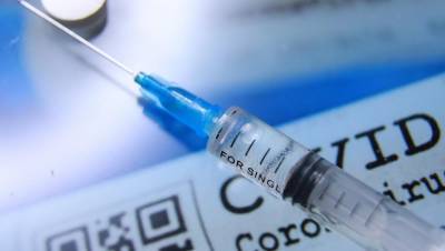 Дмитрий Лиознов - В Петербурге заканчивают испытания новой вакцины от коронавируса - dp.ru - Санкт-Петербург