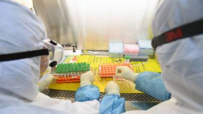 Чжао Лицзянь - МИД Китая опроверг сообщения о болезни трёх вирусологов до пандемии - russian.rt.com - Китай