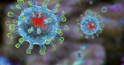 Разведка США предположила, что коронавирус был создан искусственно, – WSJ - dsnews.ua - Китай - Ухань