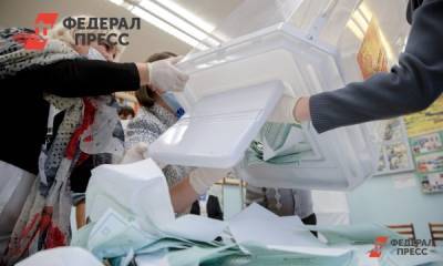 Как пройдут президентские выборы – 2024: судьба электронного голосования - fedpress.ru