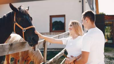 Школьница из Ришон ле-Циона влюбилась во владельца коня, мать подала в суд - vesty.co.il - Израиль