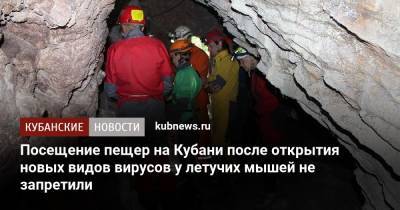 Посещение пещер на Кубани после открытия новых видов вирусов у летучих мышей не запретили - kubnews.ru - Краснодарский край - Сочи