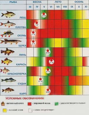 Лунный календарь рыболова на июнь: когда будет лучшая рыбалка - narodna-pravda.ua