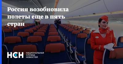 Россия возобновила полеты еще в пять стран - nsn.fm - Россия