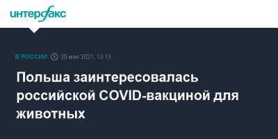 Польша заинтересовалась российской COVID-вакциной для животных - interfax.ru - Москва - Польша