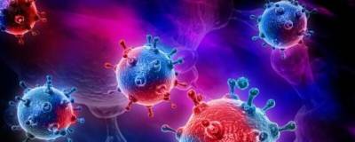 Японские ученые раскрыли новый механизм защиты от коронавируса в организме - runews24.ru