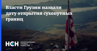 Георгий Гибрадзе - Власти Грузии назвали дату открытия сухопутных границ - nsn.fm - Грузия