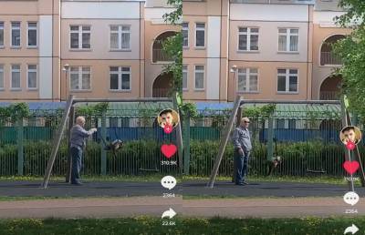 Дедушка в Москве вывел на прогулку своего кота и начал качать его на качели. Видео до слёз рассмешило Сеть - ont.by - Москва