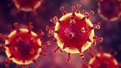 Может ли коронавирус встроится в геном человека и чем это грозит? - rusjev.net