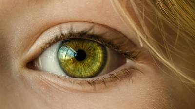 Зрение человека впервые восстановлено с помощью генной терапии - vesti.ru