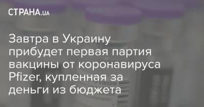 Денис Шмыгаль - Завтра в Украину прибудет первая партия вакцины от коронавируса Pfizer, купленная за деньги из бюджета - strana.ua