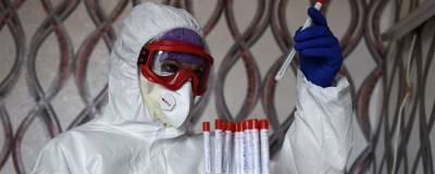 Новый штамм коронавируса обнаружили в Бразилии - runews24.ru - Brazil - штат Сан-Паулу - Мокок