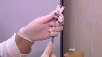 В Госдуму внесли законопроект о включении прививок от Covid-19 в национальный календарь - ivbg.ru - Россия