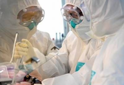 В Бразилии зафиксирован новый штамм коронавируса - facenews.ua - Филиппины - Бразилия - Сан-Паулу - Мокок