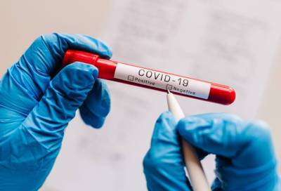 В Ленобласти выявили 98 новых случаев коронавируса за сутки - online47.ru - Ленобласть обл.