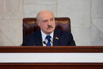 Александр Лукашенко - Лукашенко назвал способ противодействия западным санкциям - lenta.ru - Китай - Президент