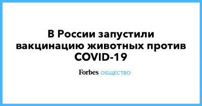 В России запустили вакцинацию животных против COVID-19 - forbes.ru - Россия