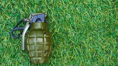В кустах у детсада в Холоне найдена боевая граната - vesty.co.il - Израиль