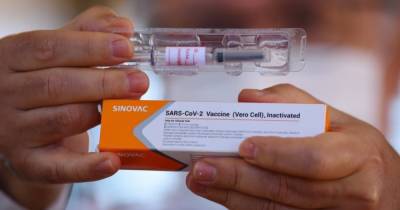 В Украину доставили очередную партию вакцины Sinovac - dsnews.ua - Украина