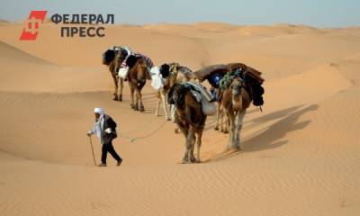 Туристка поделилась впечатлениями после поездки в Тунис - fedpress.ru - Москва - Египет - Тунис - Тунисская Республика