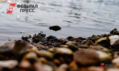 Денис Паслер - Денис Паслер призвал поддержать сохранить экосистему бассейна Урала - fedpress.ru - Санкт-Петербург - Оренбург