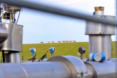 «Газпром» притормозил с продажами газа в Европу через свою биржу - eadaily.com