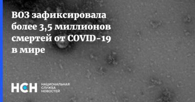 ВОЗ зафиксировала более 3,5 миллионов смертей от COVID-19 в мире - nsn.fm