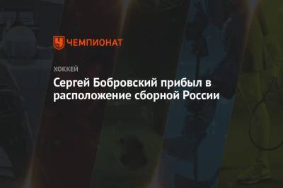 Сергей Бобровский - Сергей Бобровский прибыл в расположение сборной России - championat.com - Россия