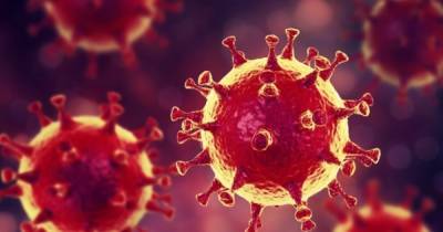 Во Франции обнаружили вспышку редкого штамма коронавируса - dsnews.ua - Франция