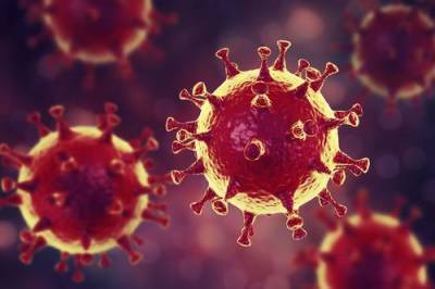 Биргер Соренсен - Ангус Далглиш - Британские вирусологи нашли доказательства искусственного происхождения коронавируса SARS-Cov-2 - argumenti.ru - Англия - Норвегия