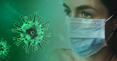 Нгуен Тхань Лонг - Во Вьетнаме выявлен новый штамм коронавируса - prm.ua - Вьетнам