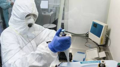 В России за сутки провели 236 тысяч тестов на коронавирус - russian.rt.com - Россия