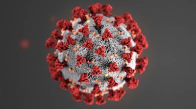 Ученые определили наиболее распространенные штаммы коронавируса в России - polit.info - Россия