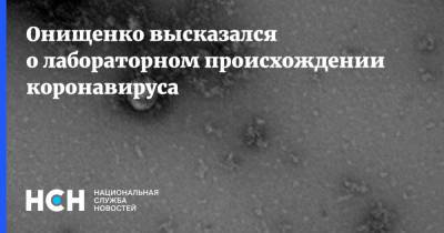 Геннадий Онищенко - Онищенко высказался о лабораторном происхождении коронавируса - nsn.fm