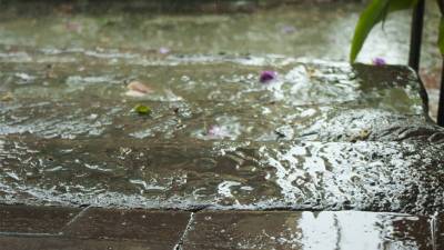 В Индии из-за проливных дождей затопило ковидный госпиталь - mir24.tv