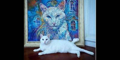 Российский кот Ахилл готовится стать главным оракулом ЧЕ по футболу - skuke.net - Россия - Санкт-Петербург