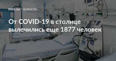 От COVID-19 в столице вылечились еще 1877 человек - mos.ru - Москва